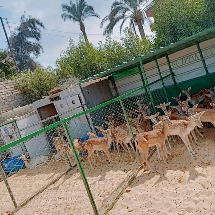 Almanara Exports Gallery Image